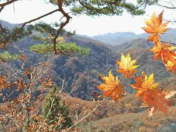 庐阳区级托养福利事业单位新项目，托起民生福祉，照耀民生之光